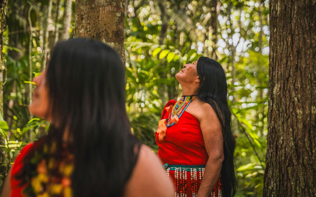 The Ceremony- A Sacred Journey