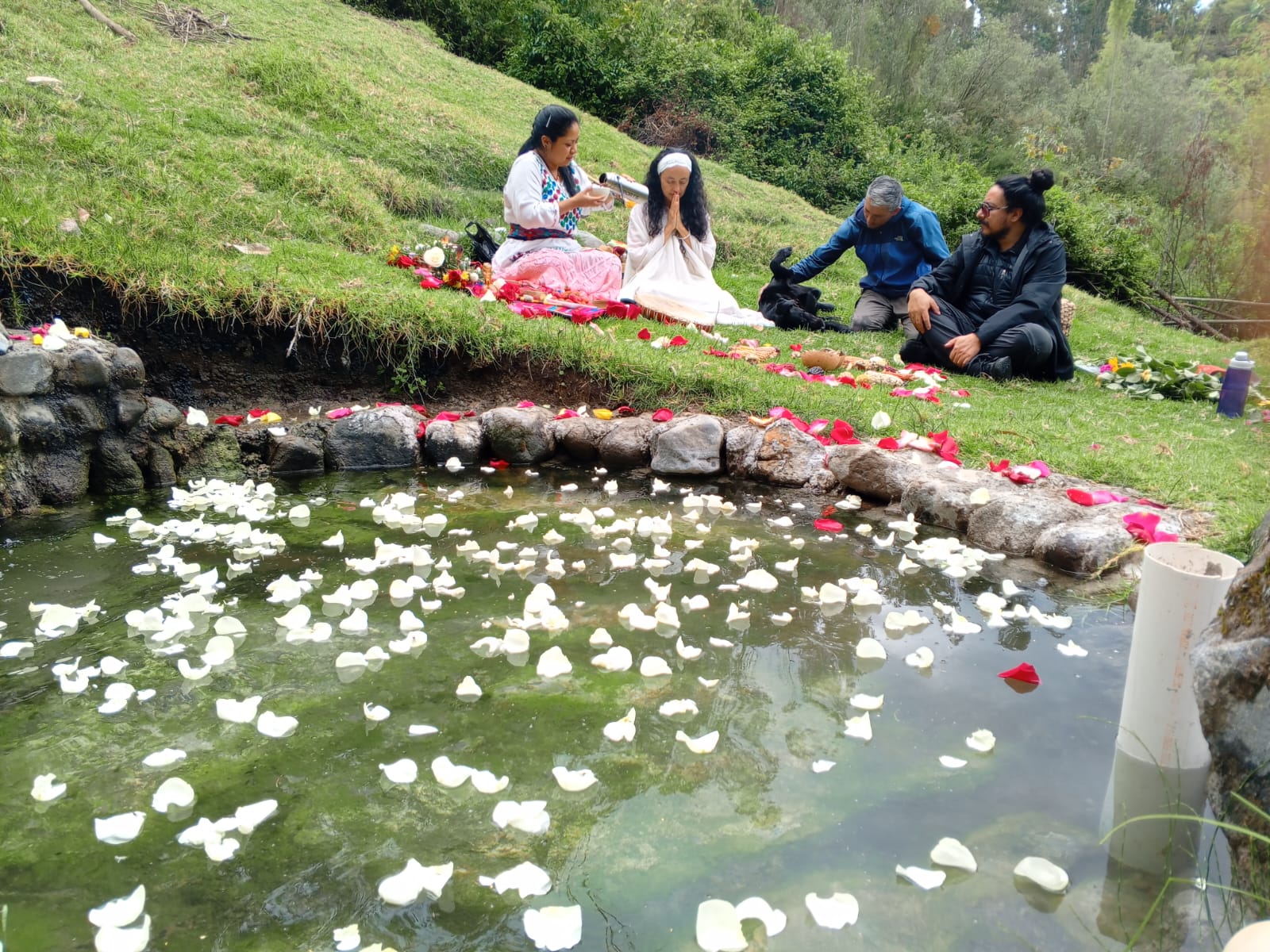 Ayahuasca Ceremony